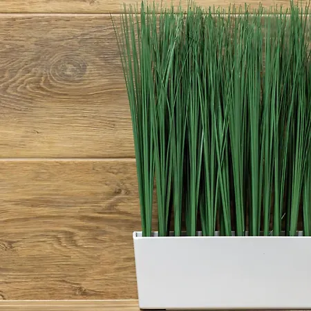 Szept Miedzy Wodami D&d Dziwnow