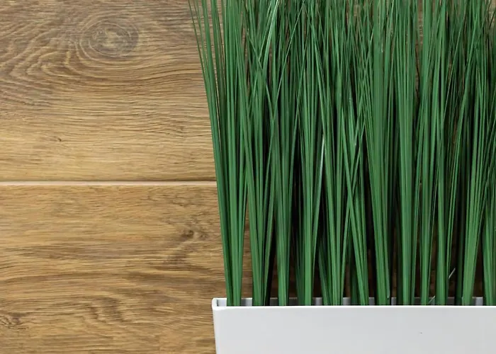 Szept Miedzy Wodami D&d Дзивнув